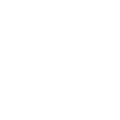 Vanta Auto Transport